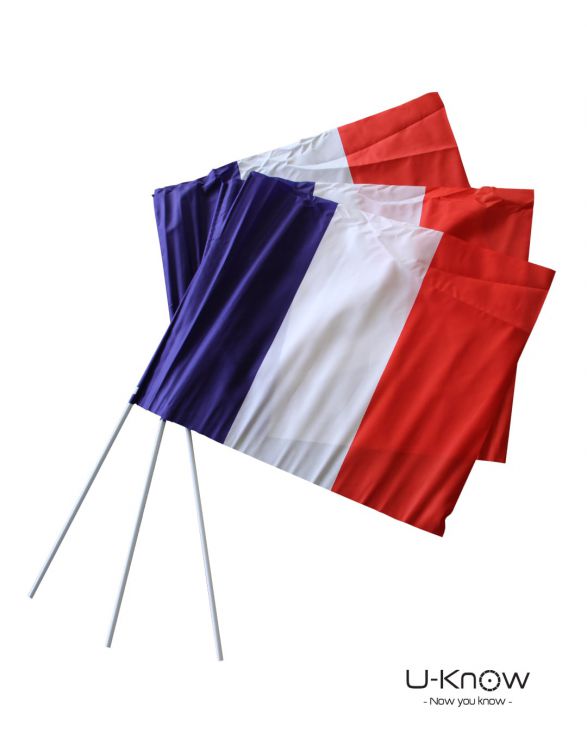 DS 110  Flag Polyester-Made 21 x 15 cm